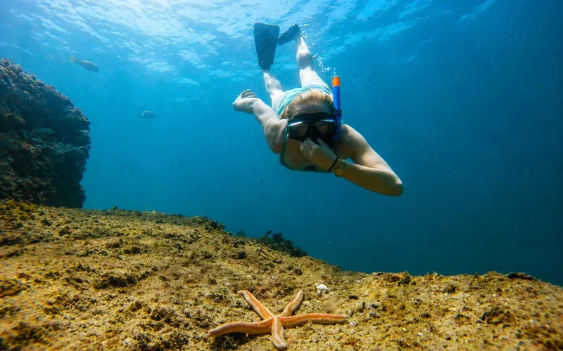 Snorkeler exploring underwater paradise