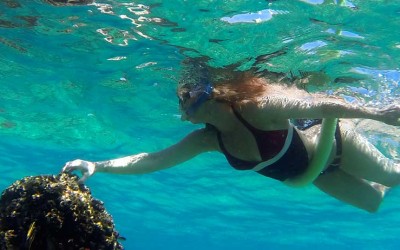 The best places to snorkel and scuba dive in Cabo