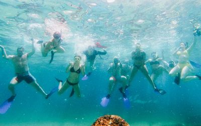Cabo Snorkel Tour: Exploring the Best Snorkeling Spots in Los Cabos