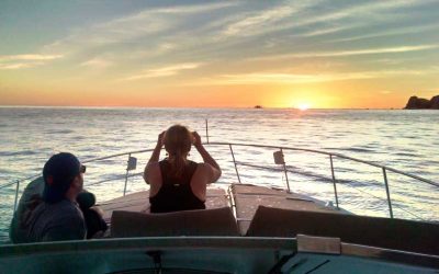Best Time to Visit Cabo San Lucas