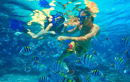 Cabo Snorkeling – A Journey Through Cabo’s Finest Snorkeling Sites