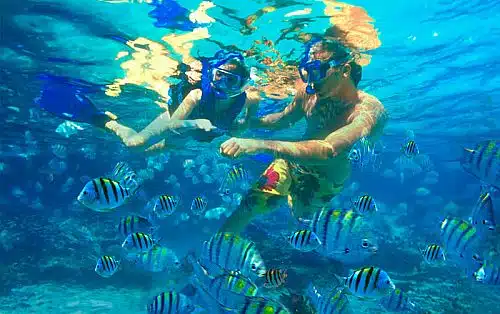 Cabo Snorkel Tour