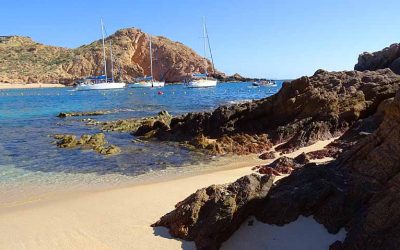 Snorkeling Tour at Santa Maria Bay: Explore the Beauty of Baja Peninsula’s Aquatic Life