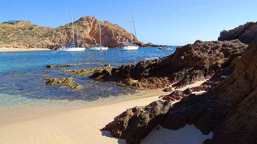 Snorkeling Tour at Santa Maria Bay: Explore the Beauty of Baja Peninsula’s Aquatic Life