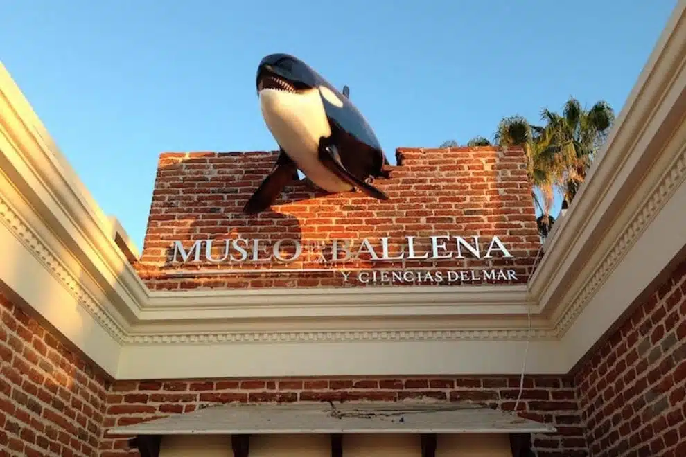 Cabo San Lucas Museums