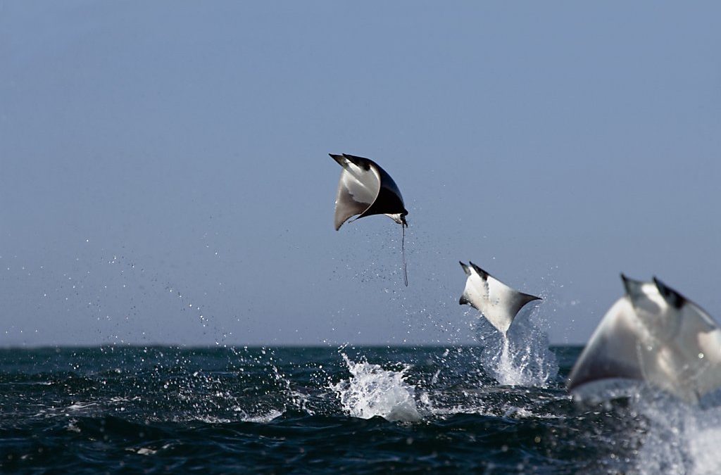 Cabo San Lucas vacation: Discover this kid-friendly destination for yourself