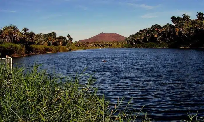 Laguna de San Ignacio