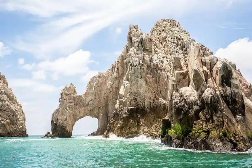 Educational Excursions in Cabo San Lucas