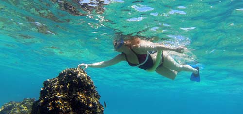 Snorkel en Cabo San Lucas