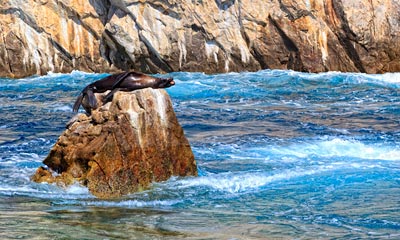 Cabo San Lucas Sunset Cruise Cabo San Lucas Sunset Cruise