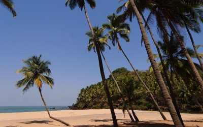 Cabo Safety: Is Los Cabos a safe travel destination?