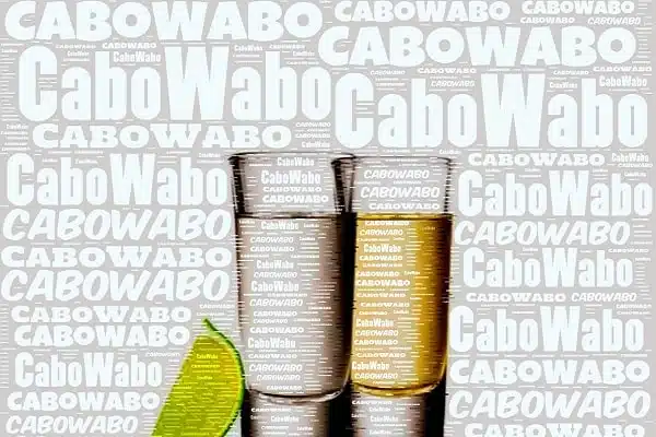 where to eat in cabo, cabo wabo, cabo sailing