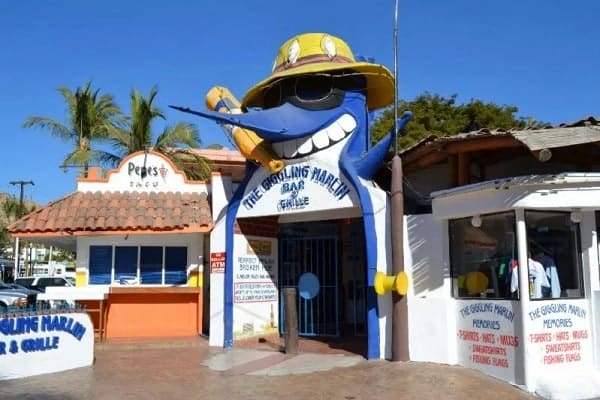 where to eat in cabo, giggling marlin, cabo sailing