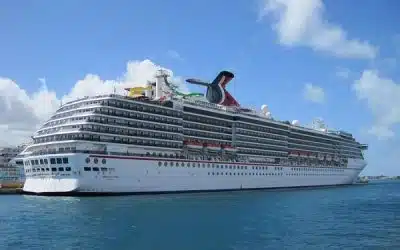 Cabo San Lucas Cruise: Discover what one wonderful day can hold for you