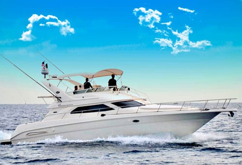 PRO - 46 feet sport cruiser yacht Max. 25 guest PRO - 46 feet sport cruiser yacht Max. 25 guest