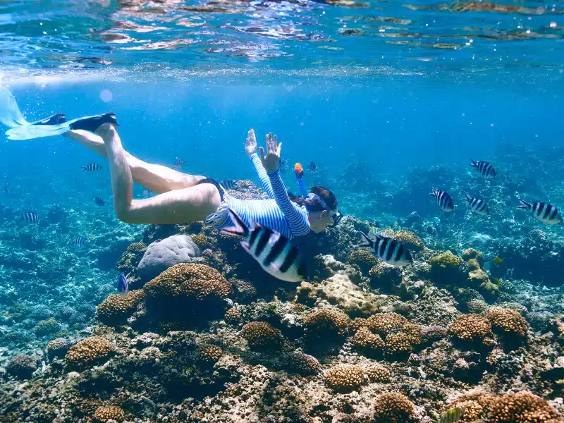 "Snorkeling