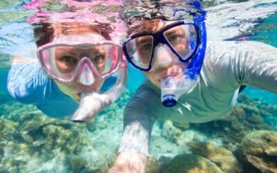 Cabo Snorkeling Tours: The Adventure Begins