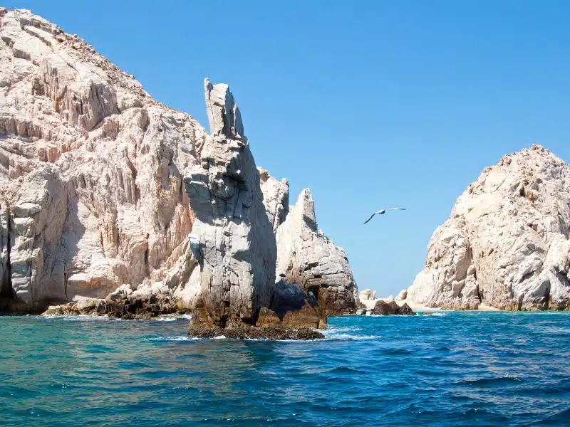 Neptune's Finger, A Cabo Snorkel Site image