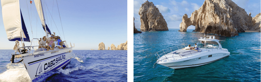 whale watching tours cabo san lucas